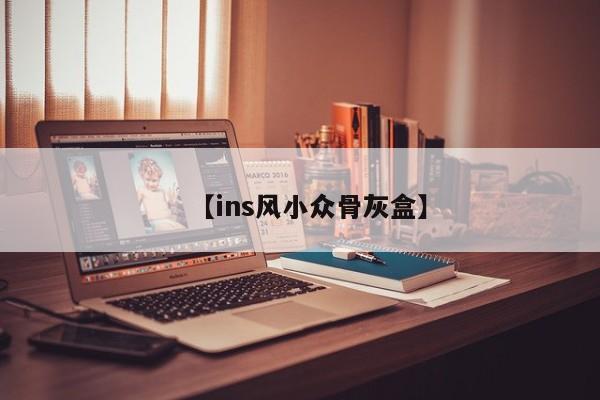 【ins风小众骨灰盒】